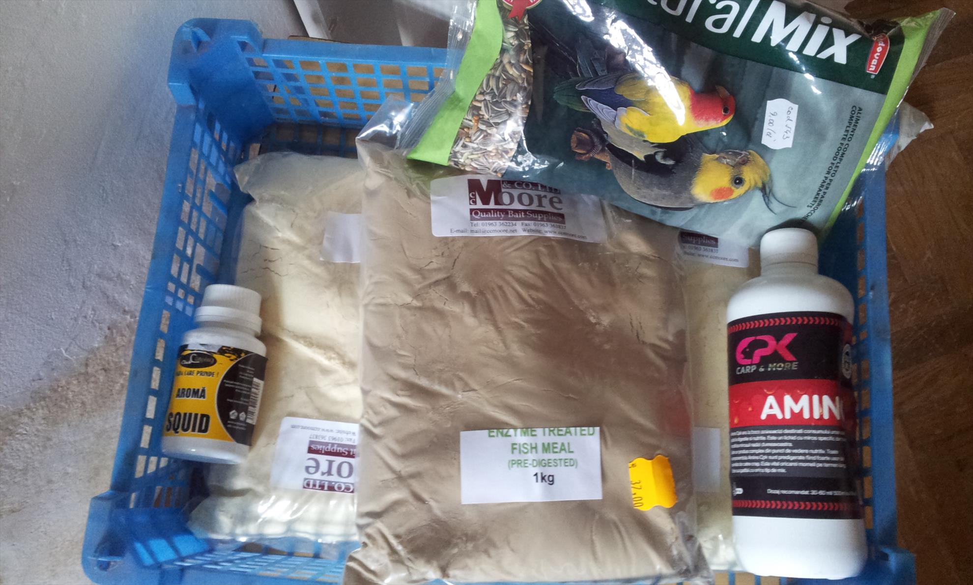 Pregatiri 2014 - 20140215103911.jpg